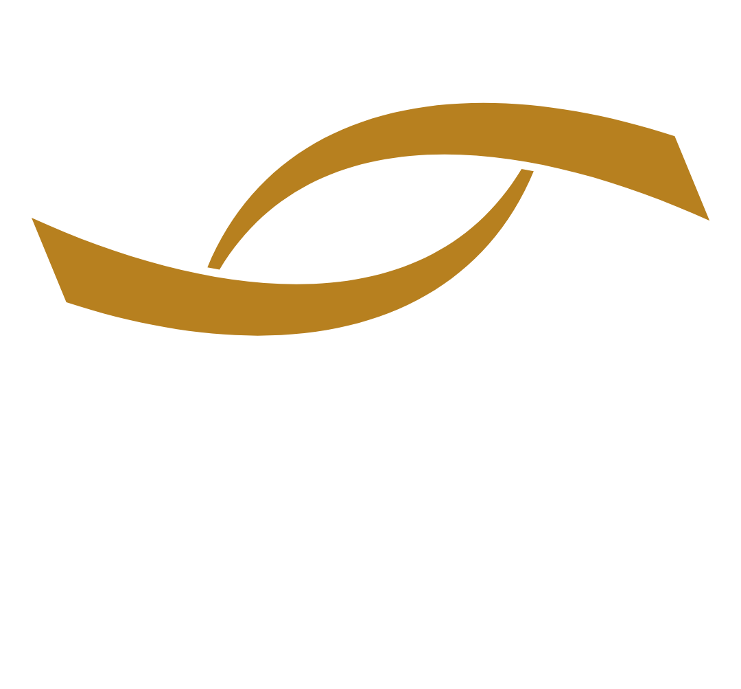 Vision