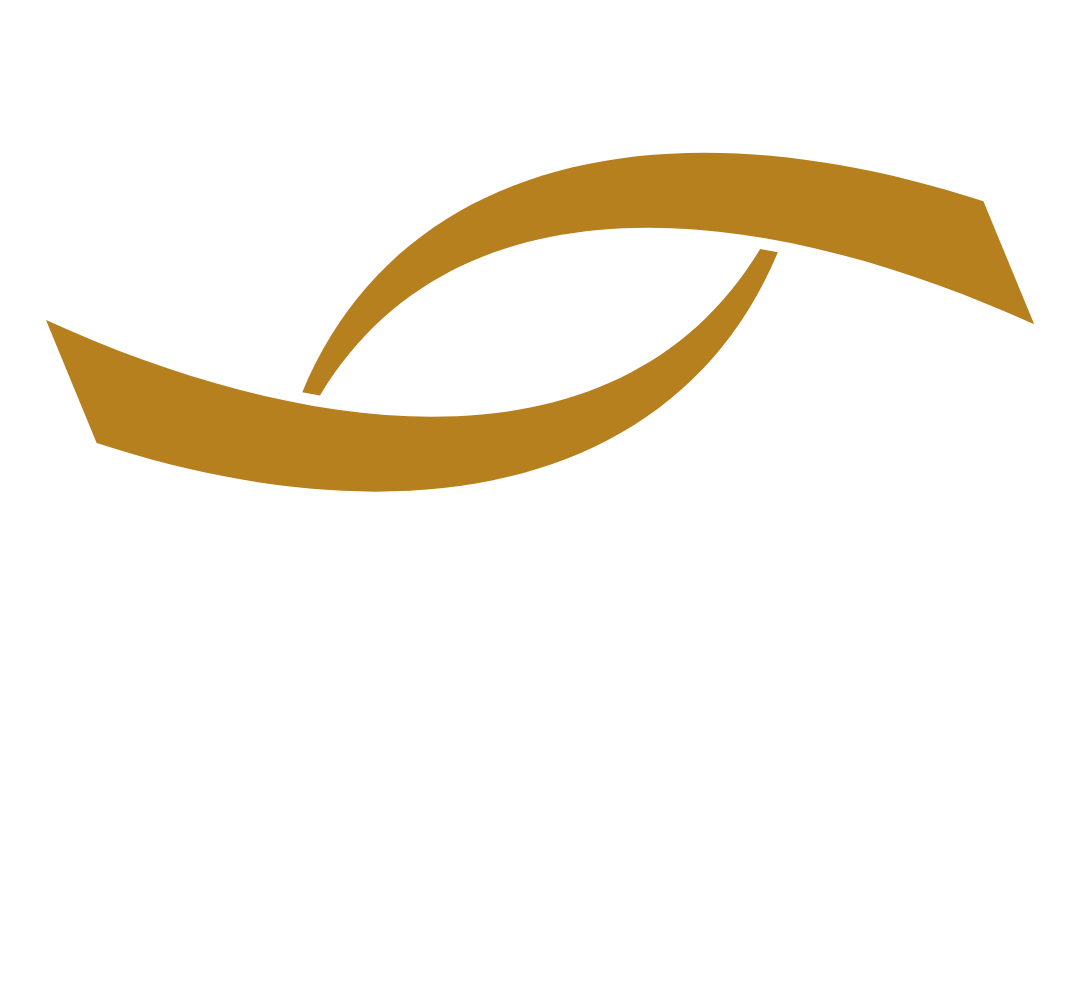 Vision