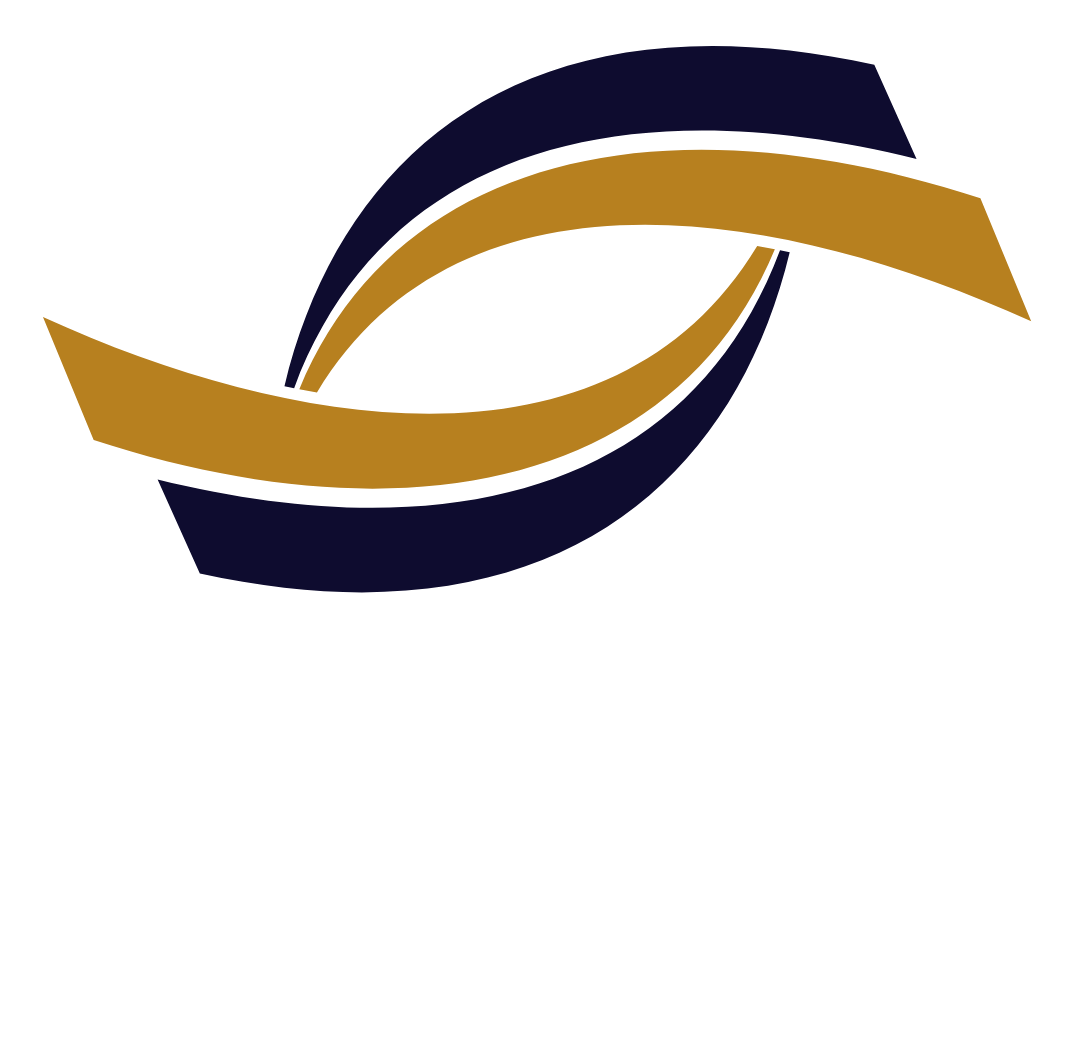 Vision